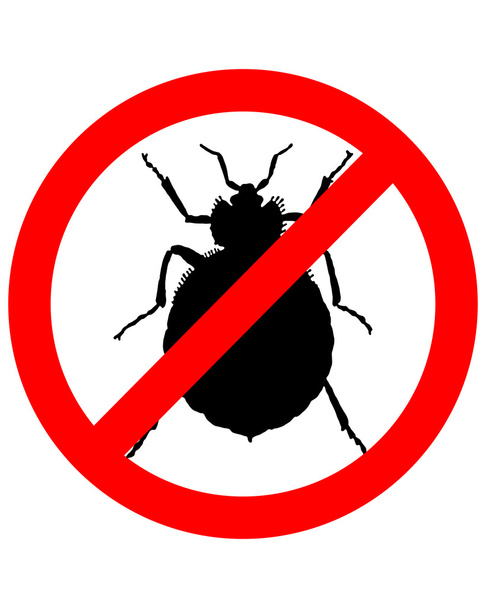 απαγορευτικό σήμα για bedbugs σε λευκό ΒΑ - Φωτογραφία, εικόνα