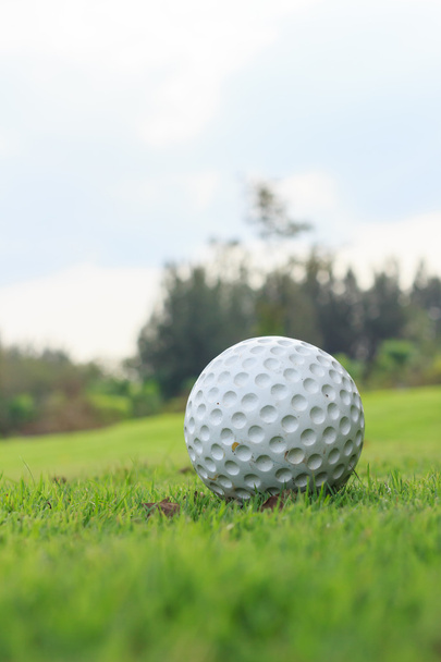Close-up shot van witte golfbal op groen - Foto, afbeelding