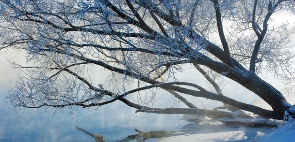 inverno, marea invernale, periodo invernale
 - Foto, immagini