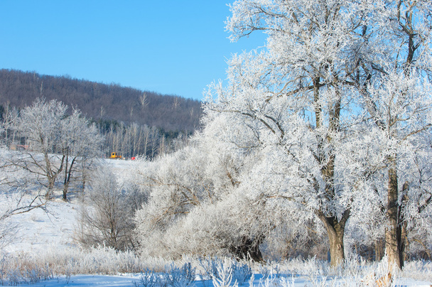 Winter, Flut, Winterzeit, Winterschlaf, die kälteste Jahreszeit des Jahres - Foto, Bild