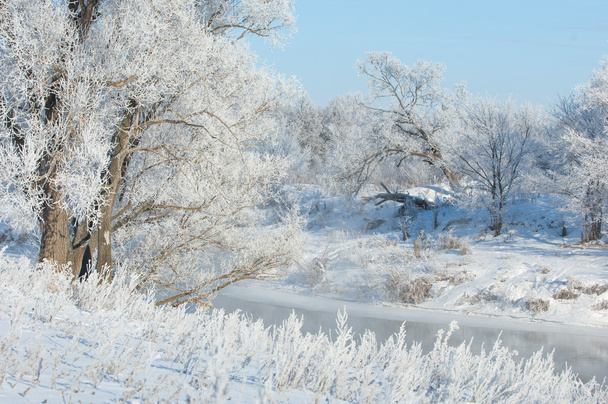 Inverno, marea invernale, inverno, ibernazione, la stagione più fredda dell'anno
 - Foto, immagini