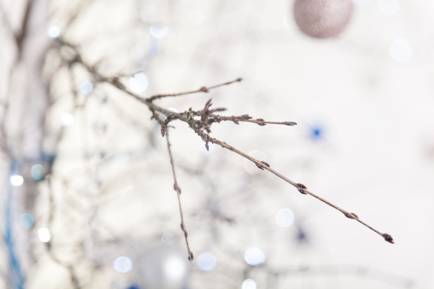 Christmas blue and silver decorations - Фото, зображення