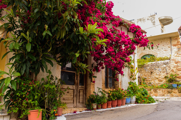 Beautiful streets of the city of Crete. - Photo, Image