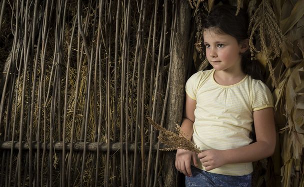 Деревенская девушка в кукурузе
 - Фото, изображение