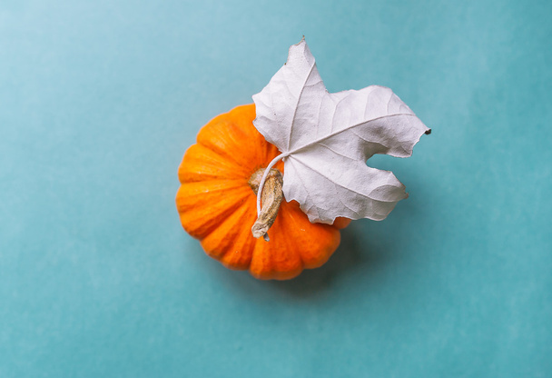 Dry maple leaf and small pumpkin on a blue background. - Photo, Image