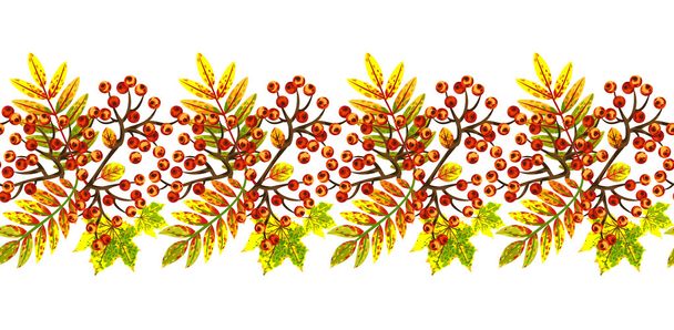 Border with autumn leaves and bunches of rowan. - Vetor, Imagem