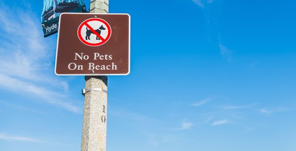 Zwierzęta nie są na pokładzie znak plaża, Błękitne niebo i Selektywny fokus - Zdjęcie, obraz