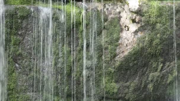 Wodospad na potoku Jedlova w górach Izerskich - Materiał filmowy, wideo
