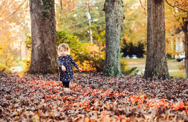 Yaprak yığını içinde oynarken yürümeye başlayan çocuk kız - Fotoğraf, Görsel