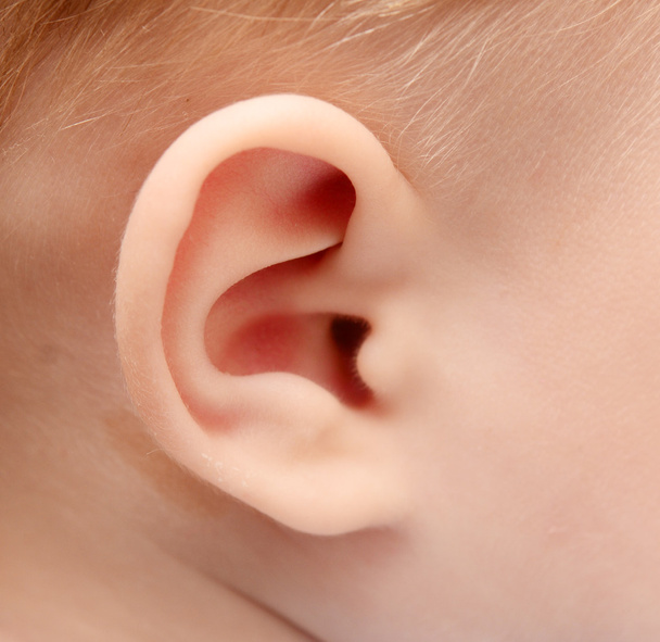 Baby ear - Photo, image