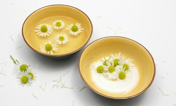 Camomile blooms in water and cream in ce - Photo, Image