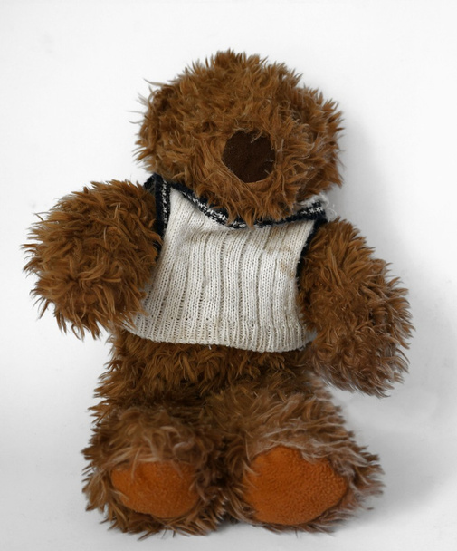 Teddy Bear - Photo, Image