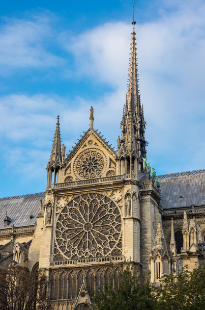 Notre-Dame de Paris - Fotoğraf, Görsel