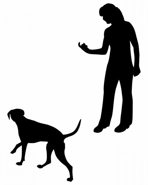 Dog Training (Obedience): Command: Come! - Fotoğraf, Görsel