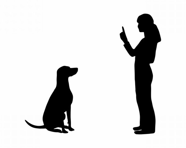 Dog training (obedience): command: sit - Fotografie, Obrázek