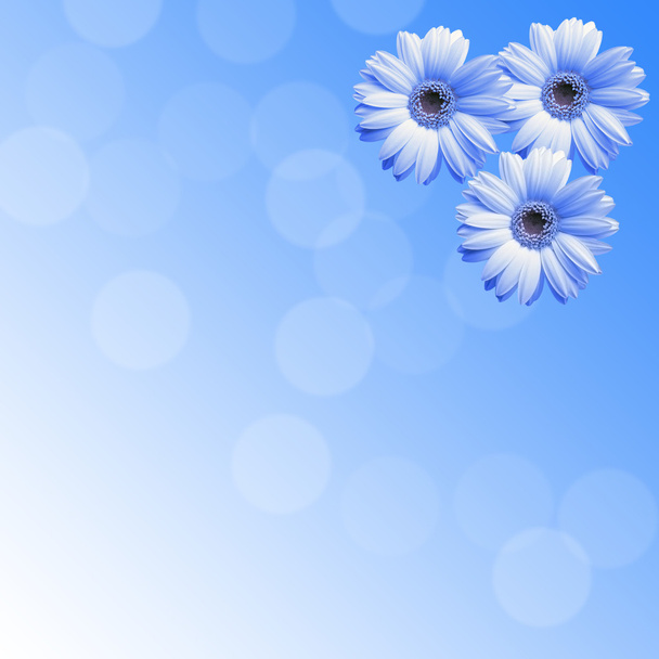 Flores azuis em um fundo azul
 - Foto, Imagem