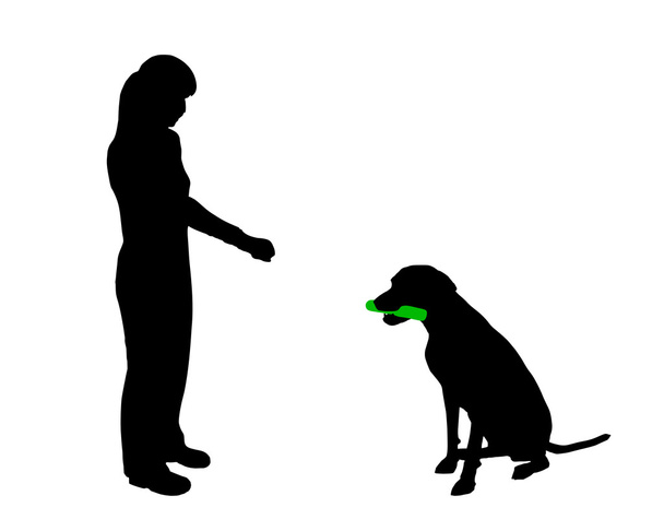 Dog Κατάρτισης (υπακοή): εντολή λαβή - Φωτογραφία, εικόνα