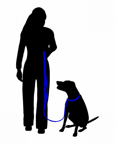 Dog training (obedience): command: sit a - Fotografie, Obrázek
