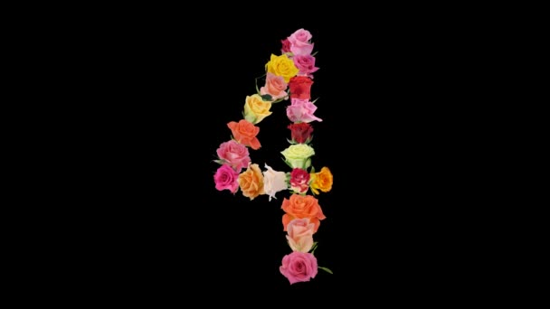 Montagem abertura arco-íris rosas número 4x forma alfa matte 4n
 - Filmagem, Vídeo