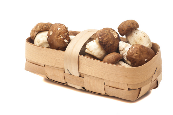 mushroom in basket isolated on white background - Φωτογραφία, εικόνα