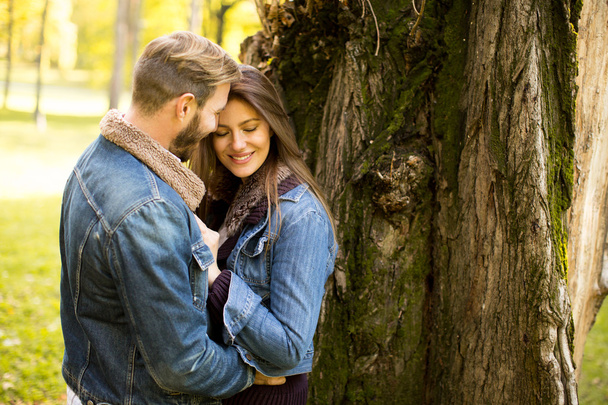 Couple in autumn park - Fotografie, Obrázek