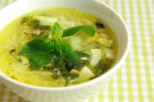 Індичка суп з базиліком і макарони - Фото, зображення