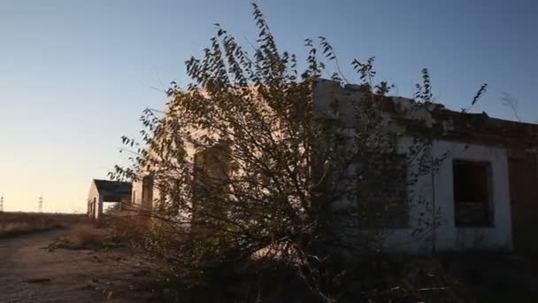 Verwoest gebouw veehouderijen - Video