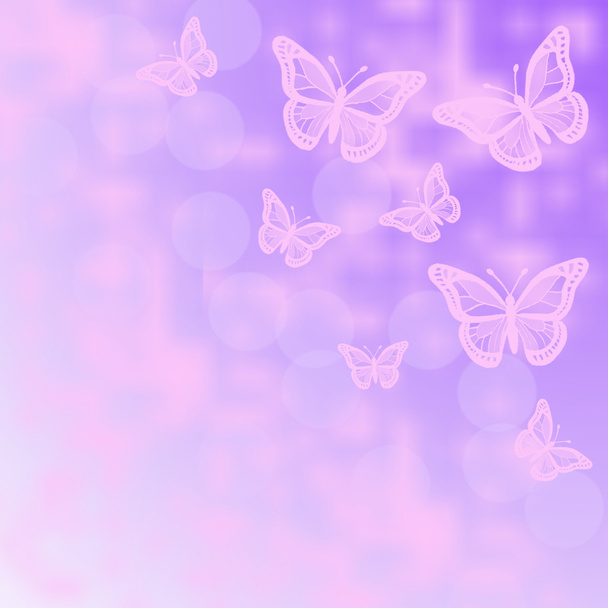 Motýli - Fotografie, Obrázek
