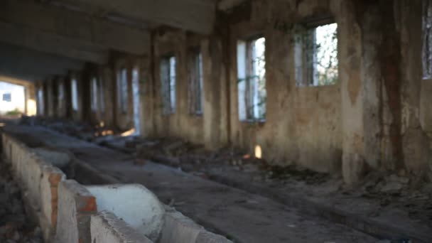 Gebäude von Viehzuchtbetrieben zerstört - Filmmaterial, Video