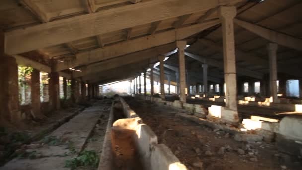 Elpusztult épület állattartó gazdaságok - Felvétel, videó
