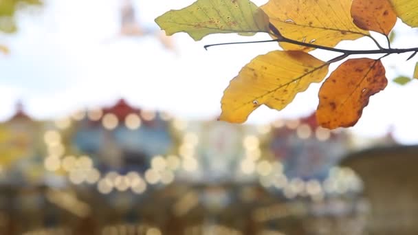 Hojas amarillas de otoño con tiovivo en el fondo
 - Imágenes, Vídeo