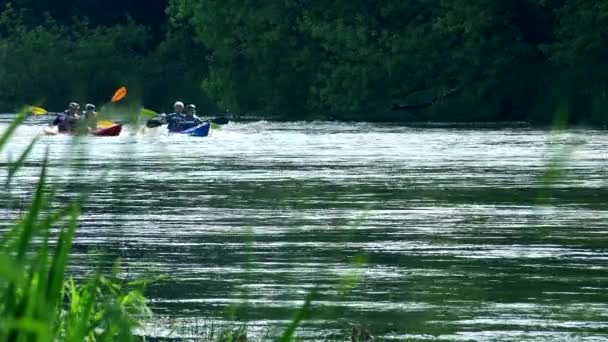 paar kano kajak racing sporten op wild water river door riet. - Video