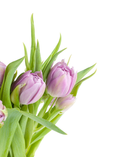 roze tulpen boeket - Foto, afbeelding
