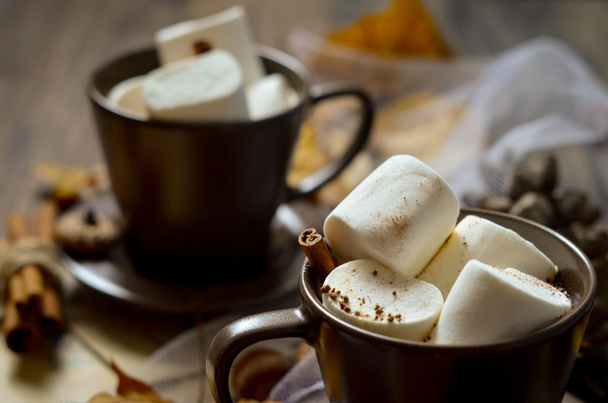 Φλυτζάνι της καυτής σοκολάτας, καφέ με marshmallow, - Φωτογραφία, εικόνα