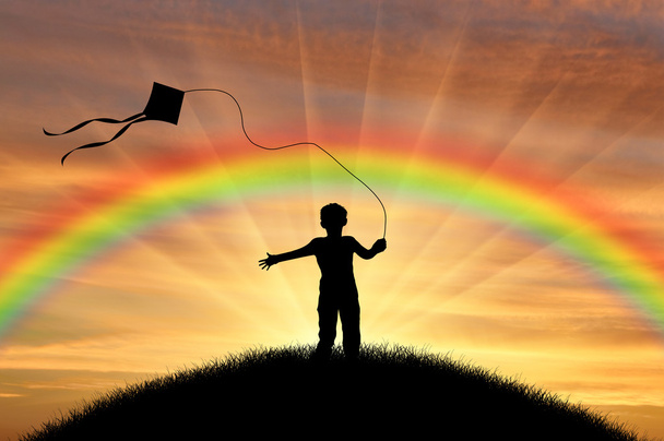 Happy boy playing with kite on sunset - Фото, изображение