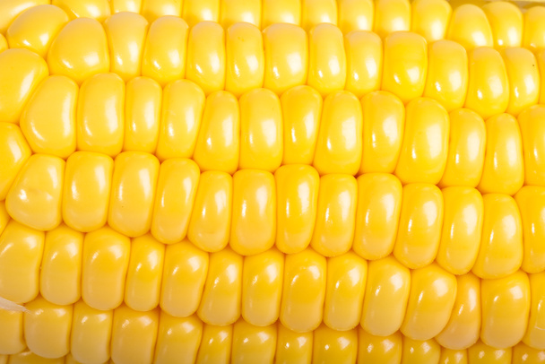Kukorica - Fotó, kép