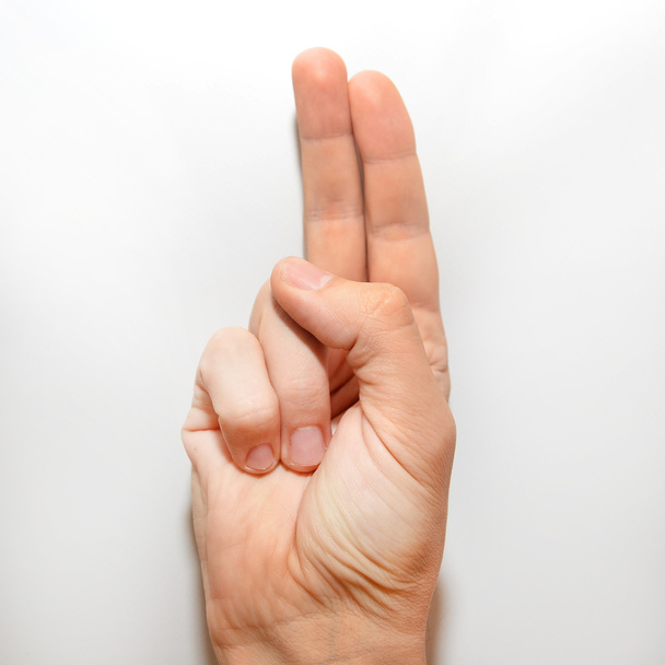 Lettre U en langue des signes américaine (ASL) pour les personnes sourdes
 - Photo, image
