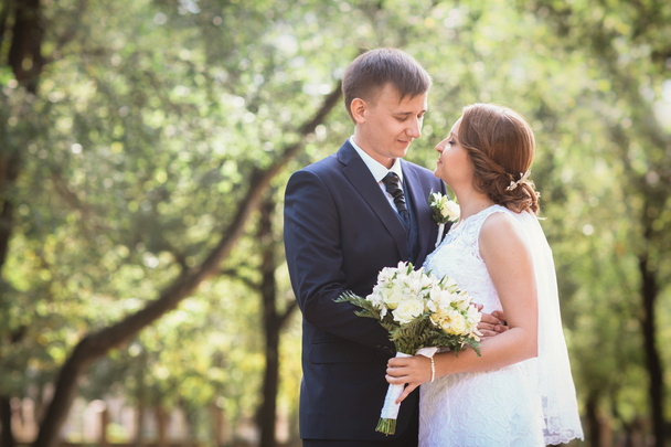 couple bride and groom on a park background - 写真・画像
