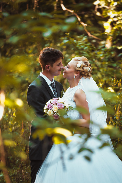 bride and groom on the forest background - Фото, зображення