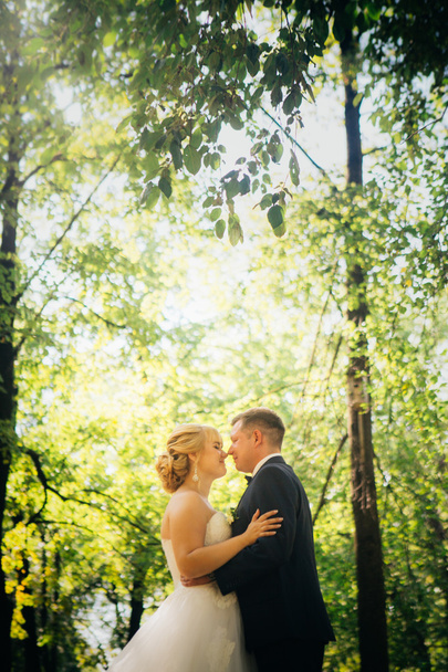 couple bride and groom on the background of the park's trees - Foto, imagen