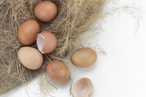 Huevos y cáscara
 - Foto, imagen