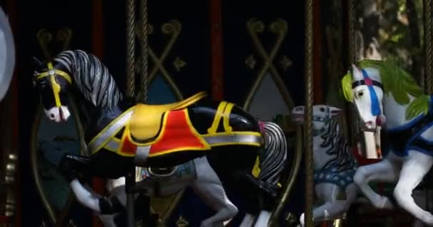 Körhinta lovat a Farsang a Merry Go Round - Felvétel, videó