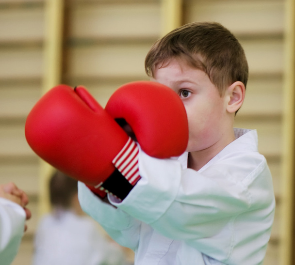 taekwondo: boy fighting - Zdjęcie, obraz