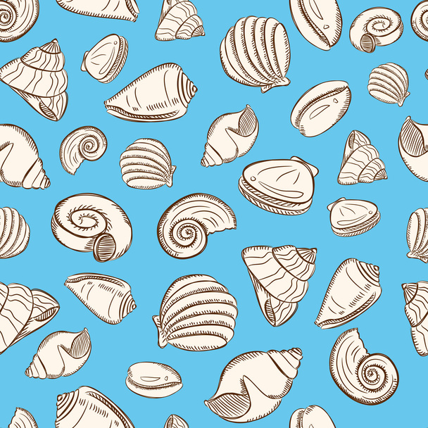 Sea shells background - Vector, Image