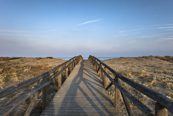 Sentiero in legno per la spiaggia - Foto, immagini