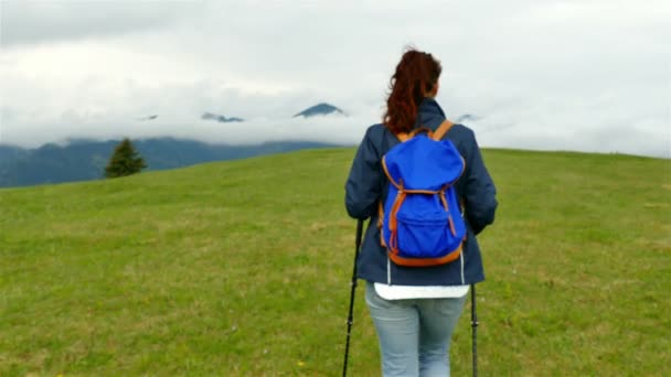  4k. Leuk meisje toeristische wandelaar op vakantie in de bergen. Steadicam schot - Video