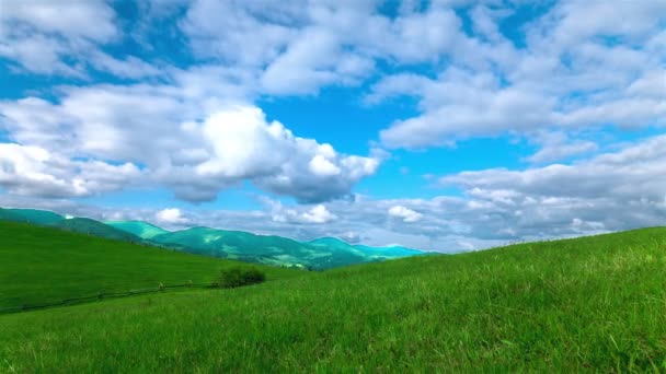 4k. Groene heuvels en blauwe hemel in de wolken. Time-lapse zonder vogels. - Video