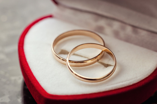 Snubní prsteny leží v poli, krásná svatba, svatba, - Fotografie, Obrázek