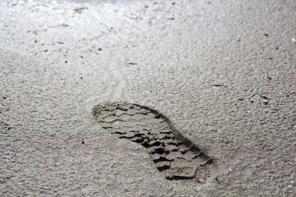 Foot print on mold - Photo, Image