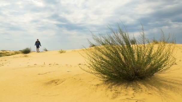 Fiatal férfi lesz a sivatagban - Felvétel, videó